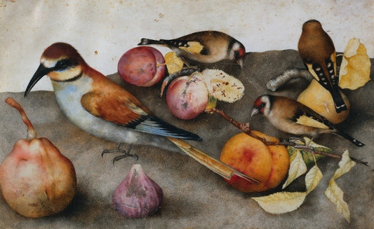 Still Life with Birds and Fruit, vintage artwork by Giovanna Garzoni, 12x8" (A4) Poster