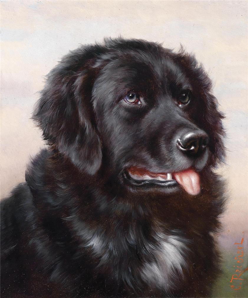 Newfoundland, vintage artwork by Carl Reichert, 12x8" (A4) Poster