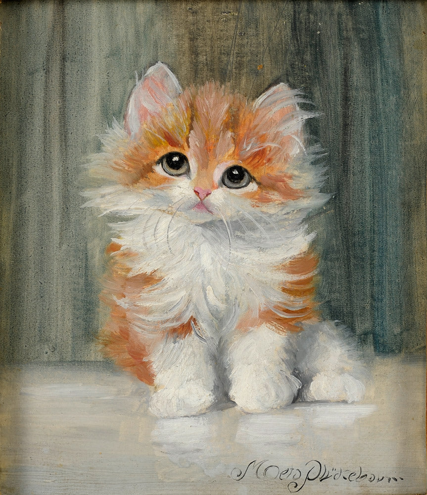 Kitten by Meta Plückebaum,16x12(A3) Poster