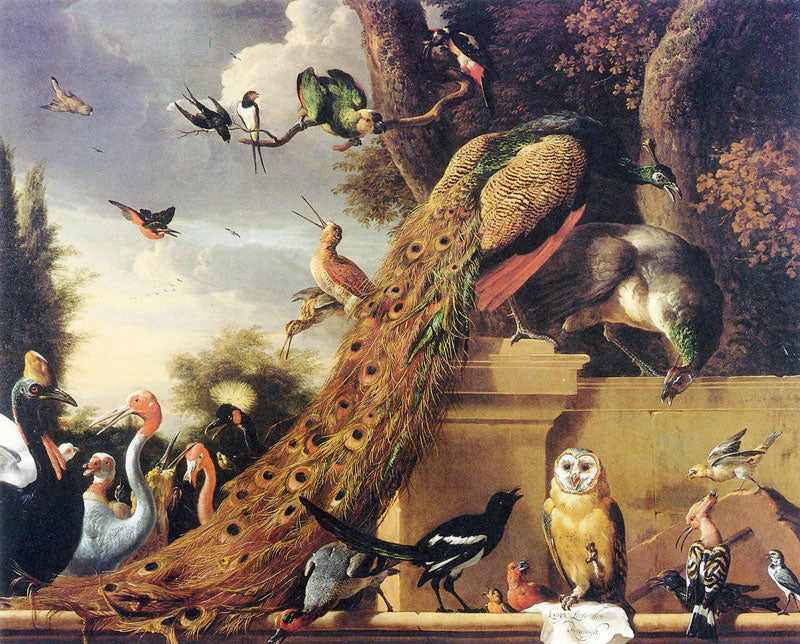 Bird Concert, vintage artwork by Melchior d'Hondecoeter, 12x8" (A4) Poster