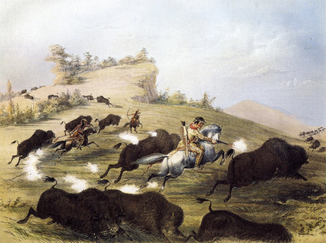Catlin the Artist Shooting Buffaloes with Colt's Revolving Pistol, vintage artwork by George Catlin, A3 (16x12") Poster Print