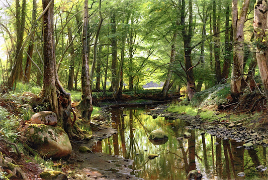 A Stream in the Forest by Peder Mork Monsted,A3(16x12")Poster