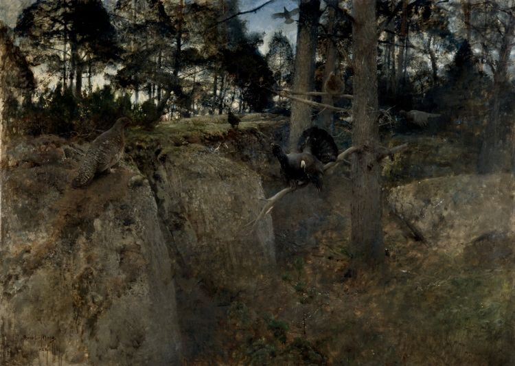 The Mating of the Capercaillies, vintage artwork by Bruno Liljefors, 12x8" (A4) Poster