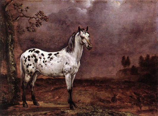 The Spotted Horse, vintage artwork by Paulus Potter, 12x8" (A4) Poster