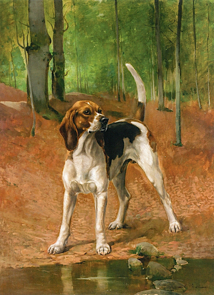 Portrait of a Beagle, vintage artwork by Alexander Pope, 12x8" (A4) Poster