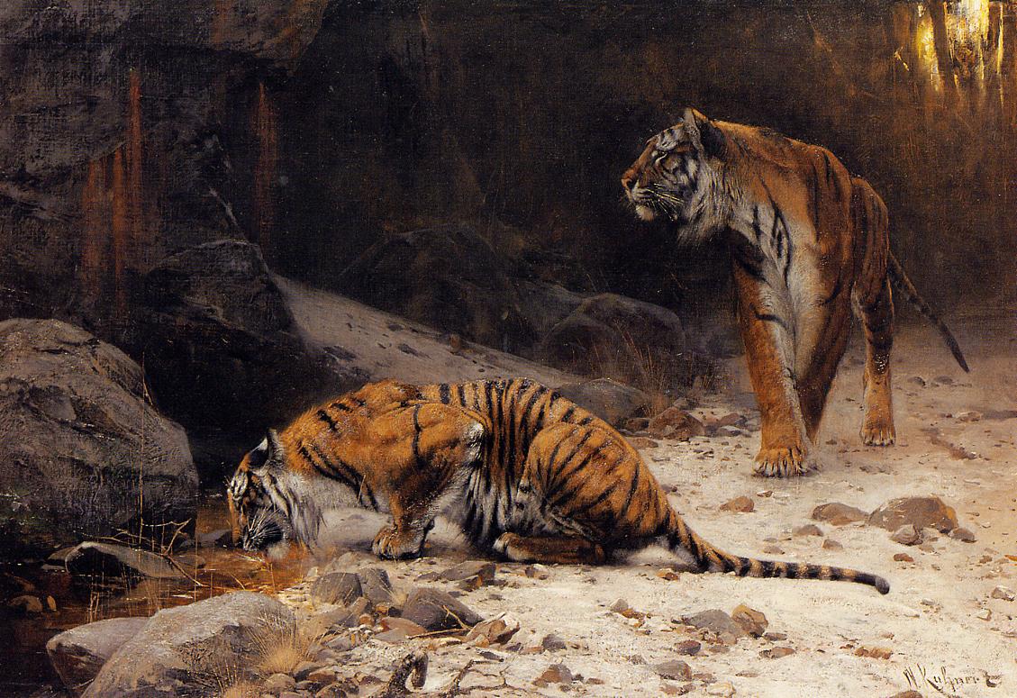 Tigers at a Drinking Pool, vintage artwork by Wilhelm Kuhnert, 12x8" (A4) Poster