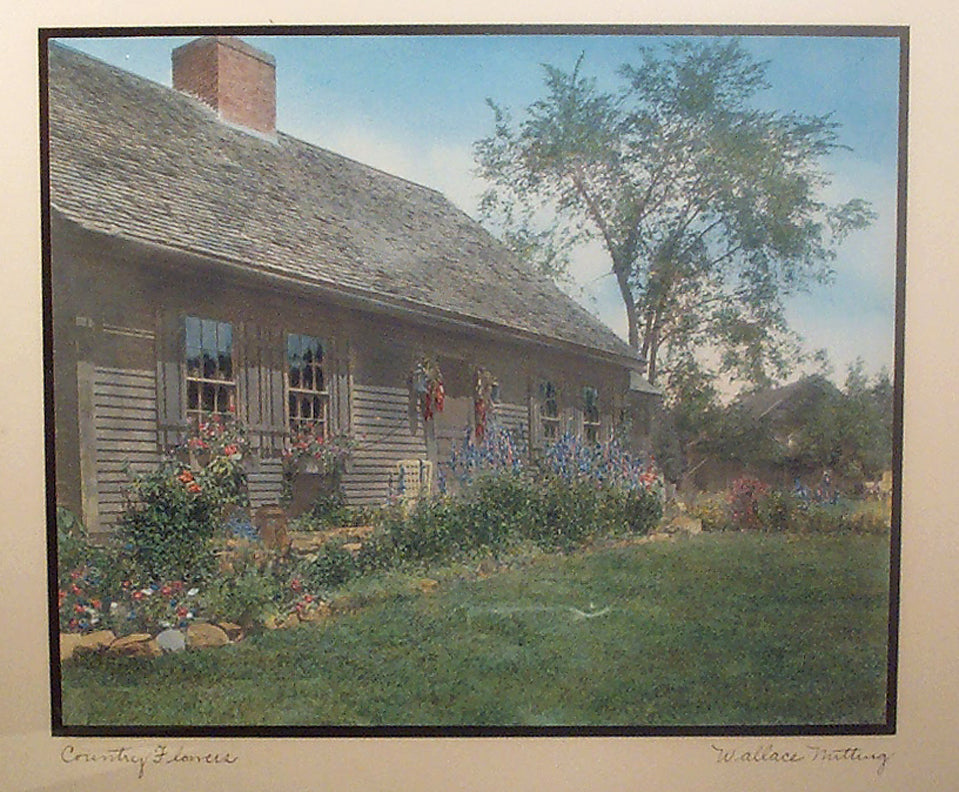 Country Flowers by Wallace Nutting,A3(16x12")Poster
