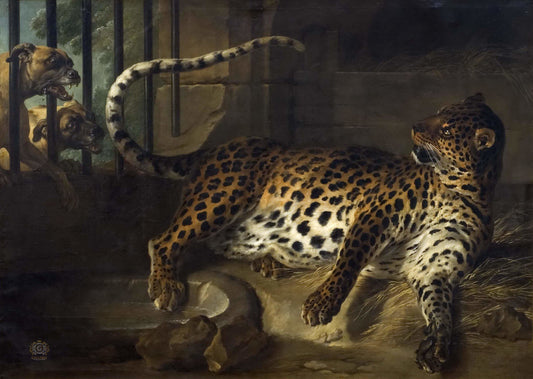 Leopard In A Cage Confronted by  Two Mastiffs, vintage artwork by Jean-Baptiste Oudry, 12x8" (A4) Poster