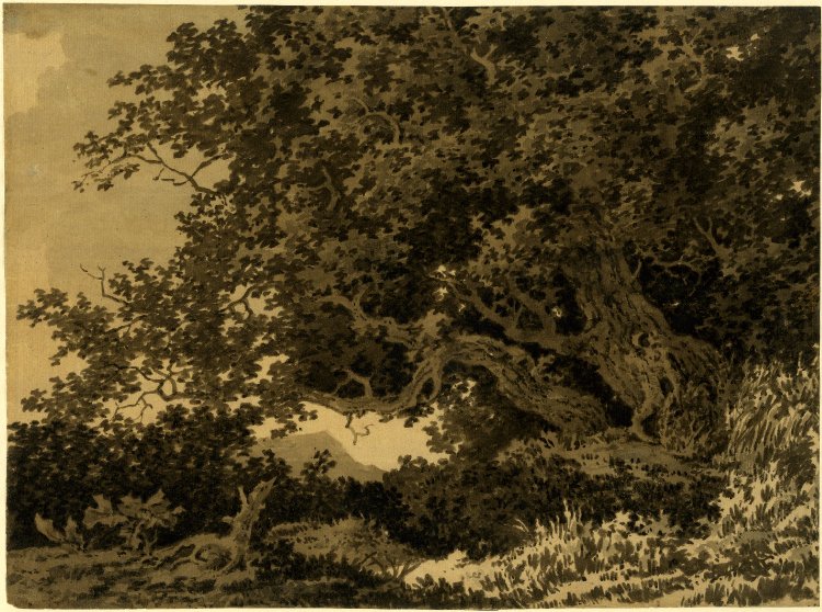 Study of Oaks, vintage artwork by Alexander Cozens, 12x8" (A4) Poster