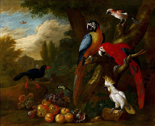 Two Macaws, a Cockatoo and a Jay, with Fruit, vintage artwork by Jakob Bogdány, 12x8" (A4) Poster