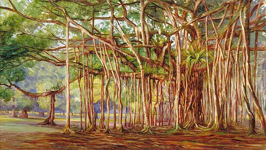 Banyan Trees at Buitenzorg, Java, vintage artwork by Marianne North, 12x8" (A4) Poster