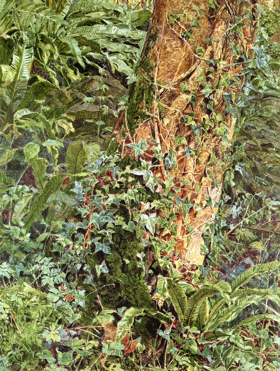 Study of an Ash Trunk, vintage artwork by Albert Joseph Moore, A.R.W.S., 12x8" (A4) Poster