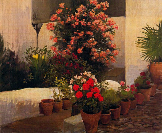 Patio with Flower Pots by Adolfo Lozano Sidro,16x12(A3) Poster