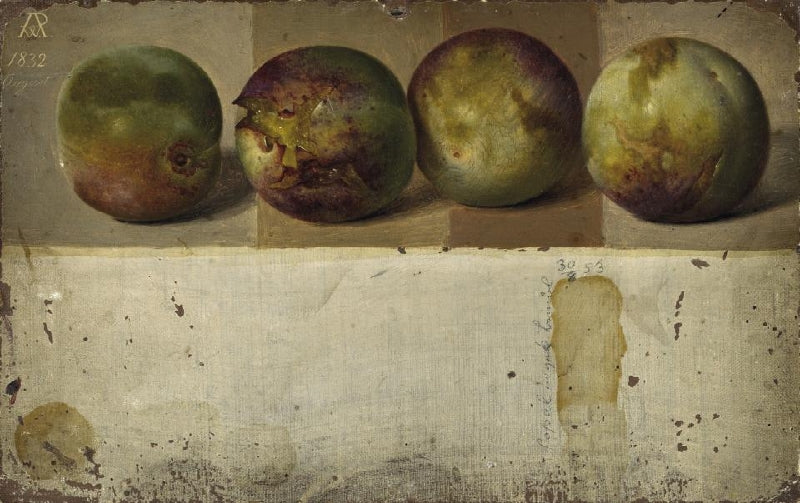 Four Greengages, vintage artwork by Johann Wilhelm Preyer, A3 (16x12") Poster Print