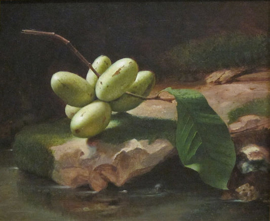 Still-life with Paw Paws, vintage artwork by Edward Edmondson, 12x8" (A4) Poster