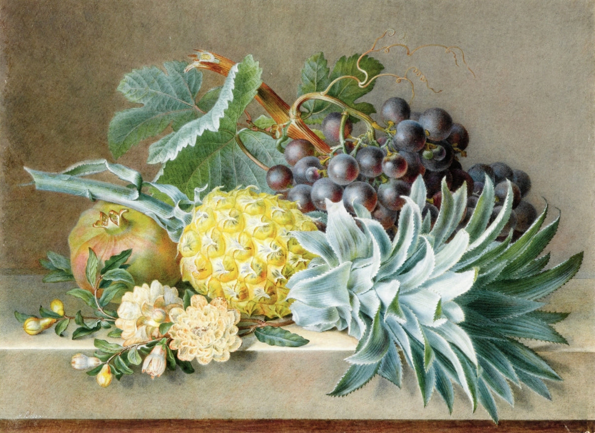 A Still Life with Pineapple, Grapes and Pomegranate, vintage artwork by Pancrace Bessa, 12x8" (A4) Poster