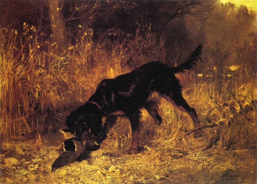Retrieving a Mallard by Josef Schmitzberger,A3(16x12")Poster