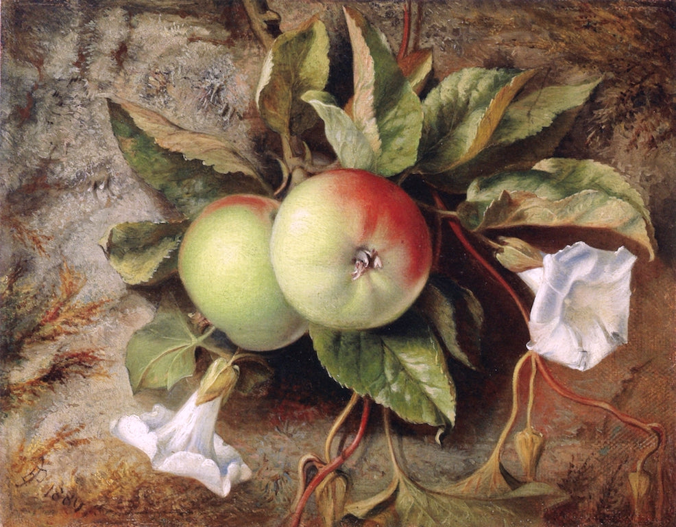Autumn Apples and Convolvulus, vintage artwork by Sir Edward John Poynter, 12x8" (A4) Poster