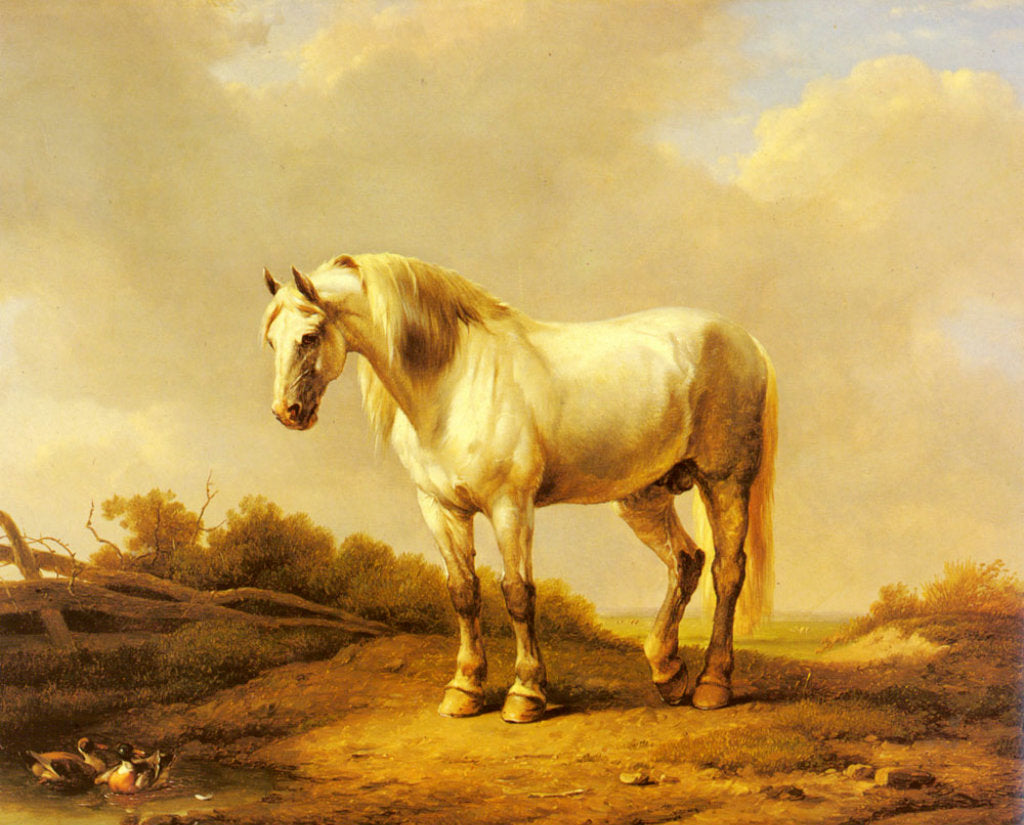 A White Stallion In A Landscape, vintage artwork by Eugene Verboeckhoven, A3 (16x12") Poster Print