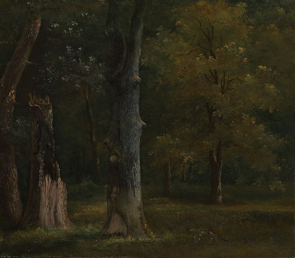 Trees in the Bois de Boulogne, Paris, vintage artwork by Achille-Etna Michallon, A3 (16x12") Poster Print