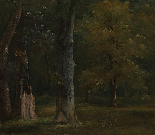Trees in the Bois de Boulogne, Paris, vintage artwork by Achille-Etna Michallon, A3 (16x12") Poster Print