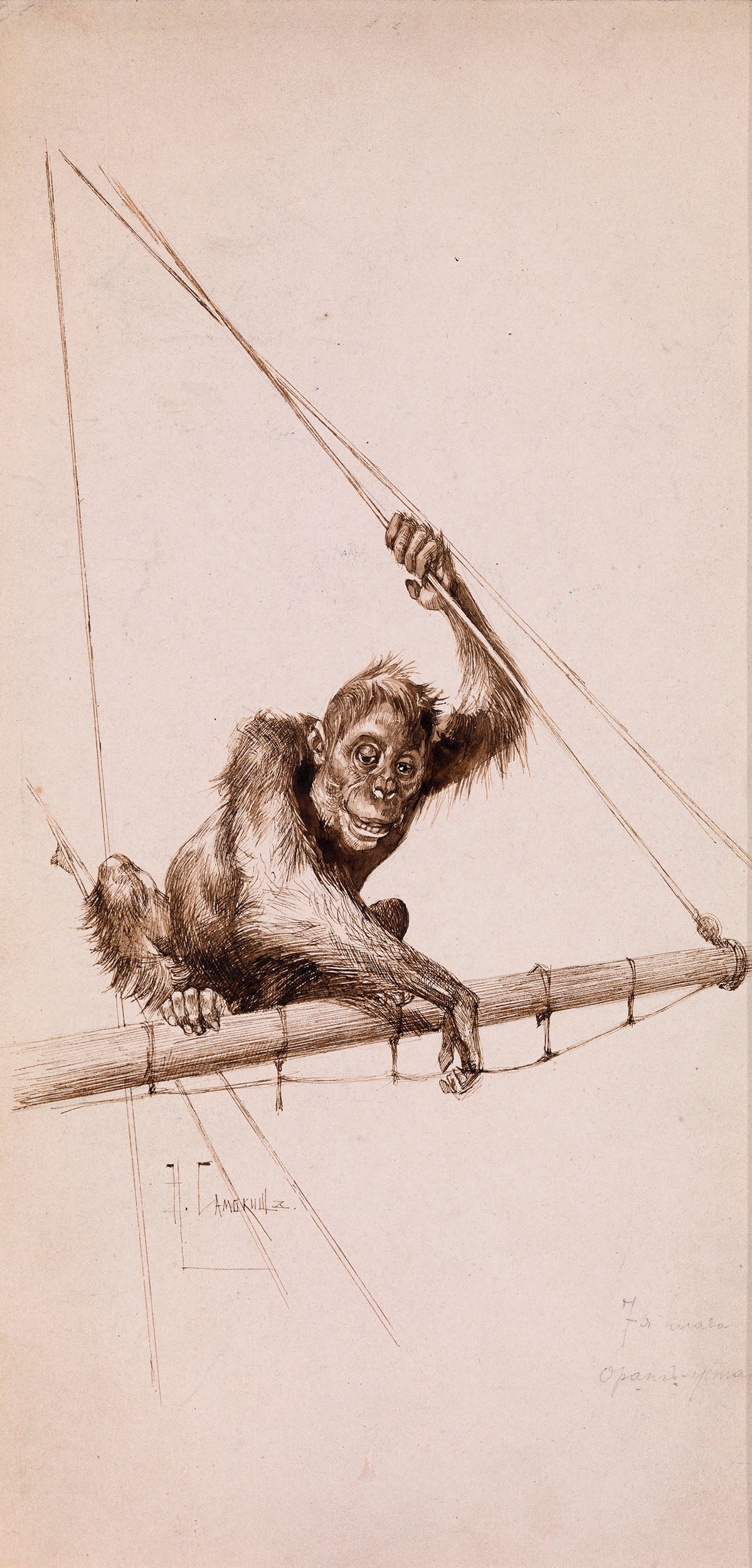 Monkey on the Yacht by Nikolai Samokish,A3(16x12")Poster