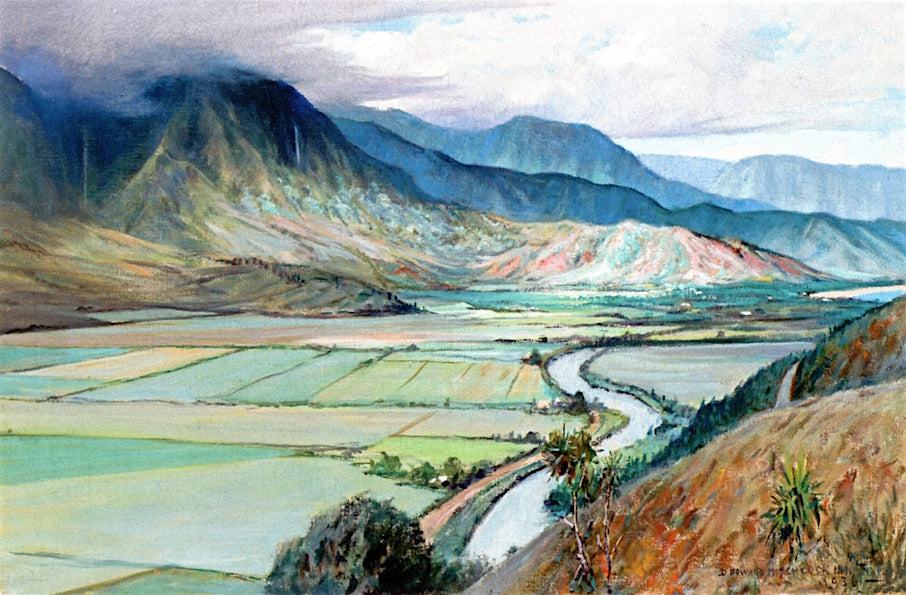 Hanalei Valley Kauai by David Howard Hitchcock,A3(16x12")Poster
