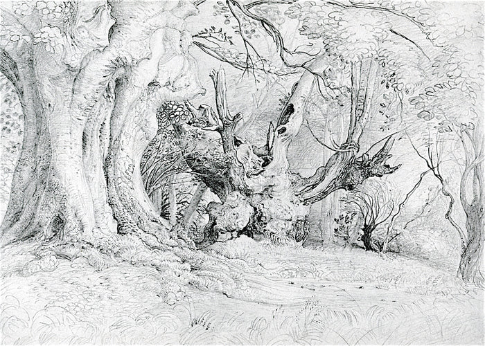 Ancient Trees, Lullingstone, vintage artwork by Samuel Palmer, A3 (16x12
