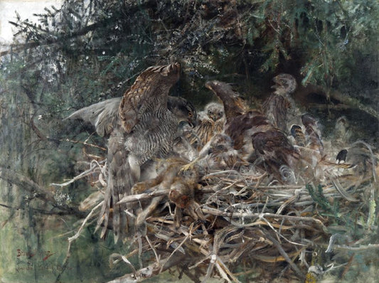 Hawk's Nest, vintage artwork by Bruno Liljefors, 12x8" (A4) Poster