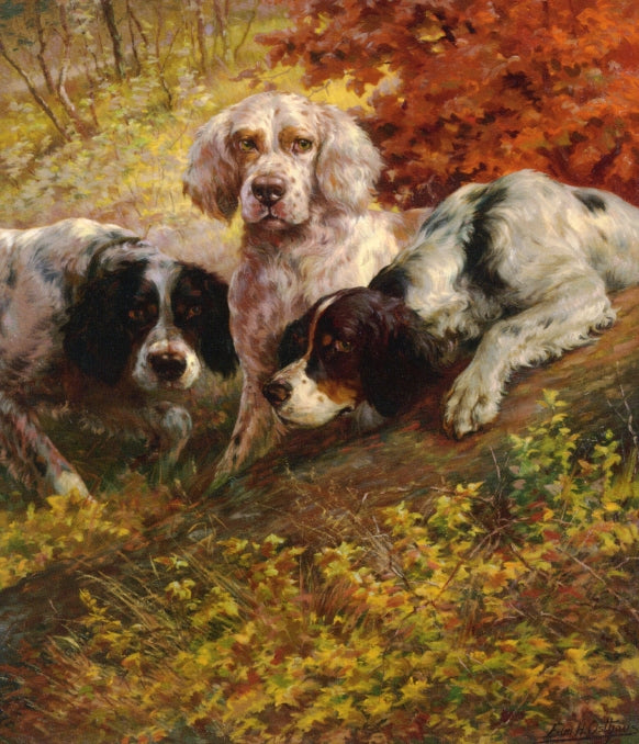 Three Setters on the Scent by Edmond H. Osthaus,A3(16x12")Poster