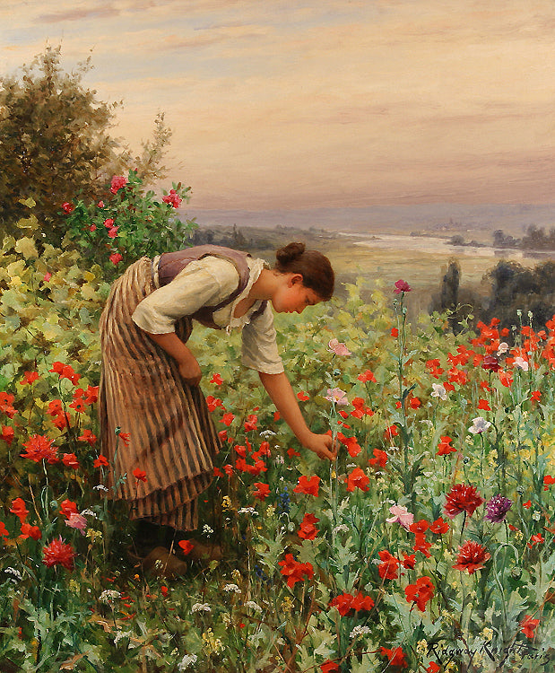 Girl Picking Poppies, vintage artwork by Daniel Ridgway Knight, 12x8" (A4) Poster