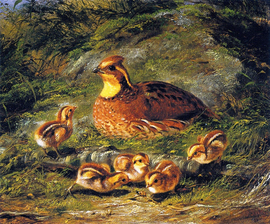 Hen, Chicks and Ladybug, vintage artwork by Arthur Fitzwilliam Tait, A3 (16x12") Poster Print