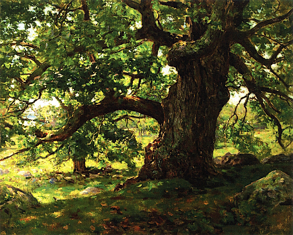 The Oak by Charles Harold Davis,A3(16x12")Poster