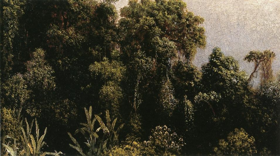 Forest Study, Brazil, vintage artwork by Martin Johnson Heade, A3 (16x12") Poster Print