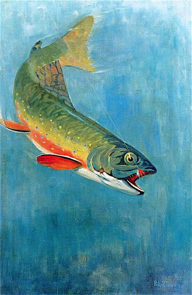 Catching the Bait by Philip R. Goodwin,16x12(A3) Poster