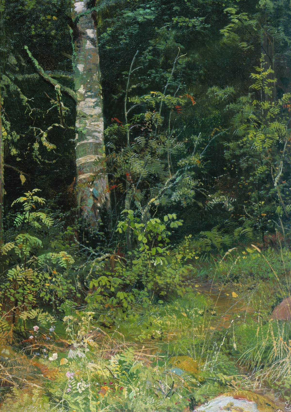 Birch and Pocks (study), vintage artwork by Ivan Ivanovich Shishkin, 12x8" (A4) Poster