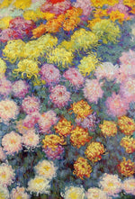 Bed of Chrysanthemums, vintage artwork by Claude Monet, 12x8" (A4) Poster