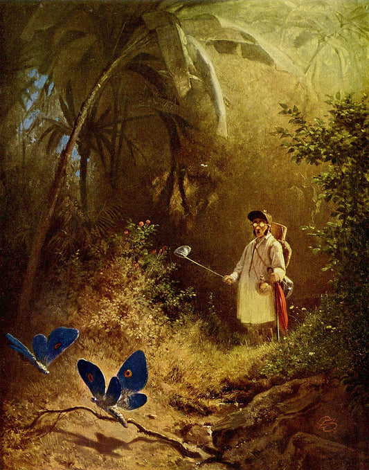 The Butterfly Catcher, vintage artwork by Carl Spitzweg, A3 (16x12") Poster Print