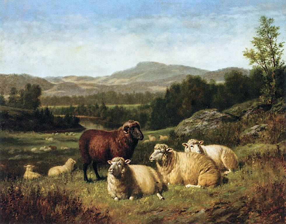 Sheep Resting in Rocky Landscape, vintage artwork by Arthur Fitzwilliam Tait, A3 (16x12") Poster Print