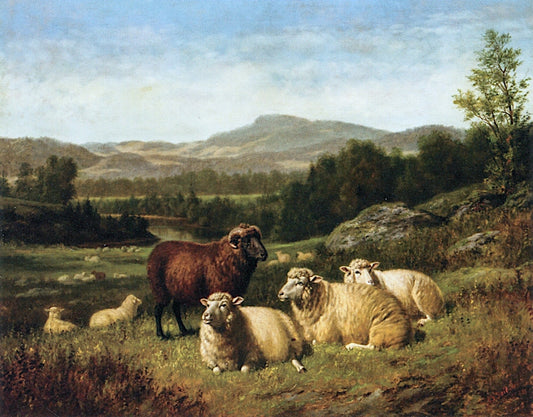 Sheep Resting in Rocky Landscape, vintage artwork by Arthur Fitzwilliam Tait, A3 (16x12") Poster Print