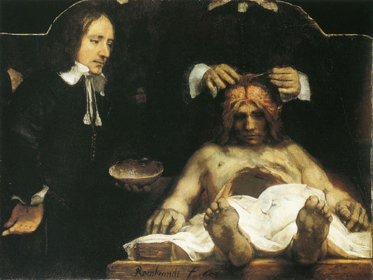Anatomy of Doctor Deyman, vintage artwork by Rembrandt van Rijn, 12x8" (A4) Poster