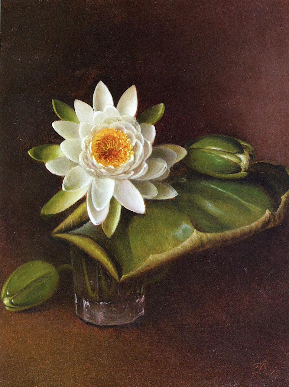 Still Life with Water Lily, vintage artwork by David Johnson, 12x8" (A4) Poster
