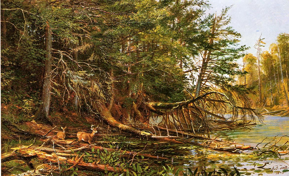 The Outlet of St. Regis Lake, vintage artwork by Arthur Fitzwilliam Tait, A3 (16x12") Poster Print