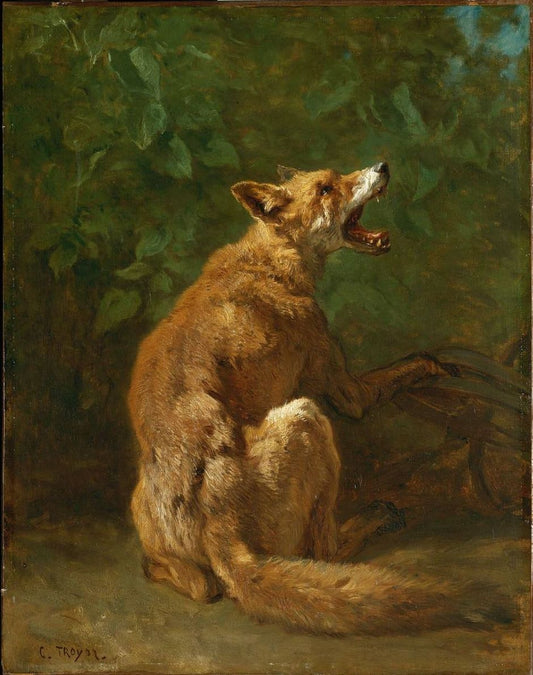 Fox in a Trap, vintage artwork by Constant Troyon, A3 (16x12") Poster Print
