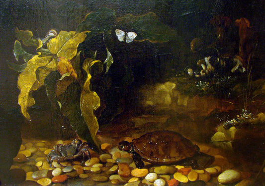 Turtle and Crab, vintage artwork by Paolo Porpora, 12x8" (A4) Poster