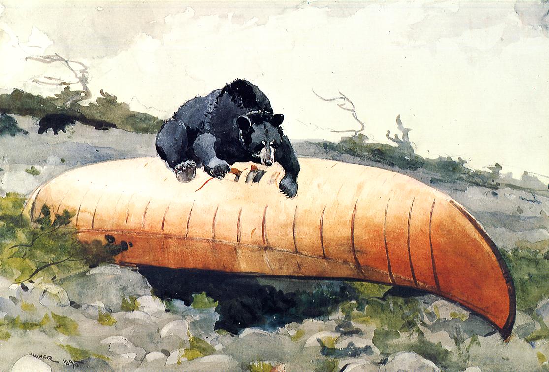 Bear and Canoe, vintage artwork by Winslow Homer, 12x8" (A4) Poster