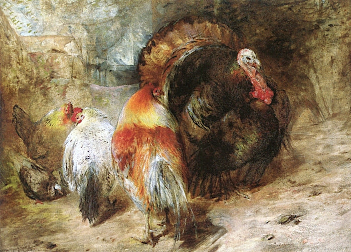 A Turkey, Hens and a Pigeon in a Farmyard, vintage artwork by William Huggins, A3 (16x12