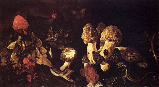 Undergrowth with mushrooms, frogs, lizards and snakes, vintage artwork by Paolo Porpora, 12x8" (A4) Poster