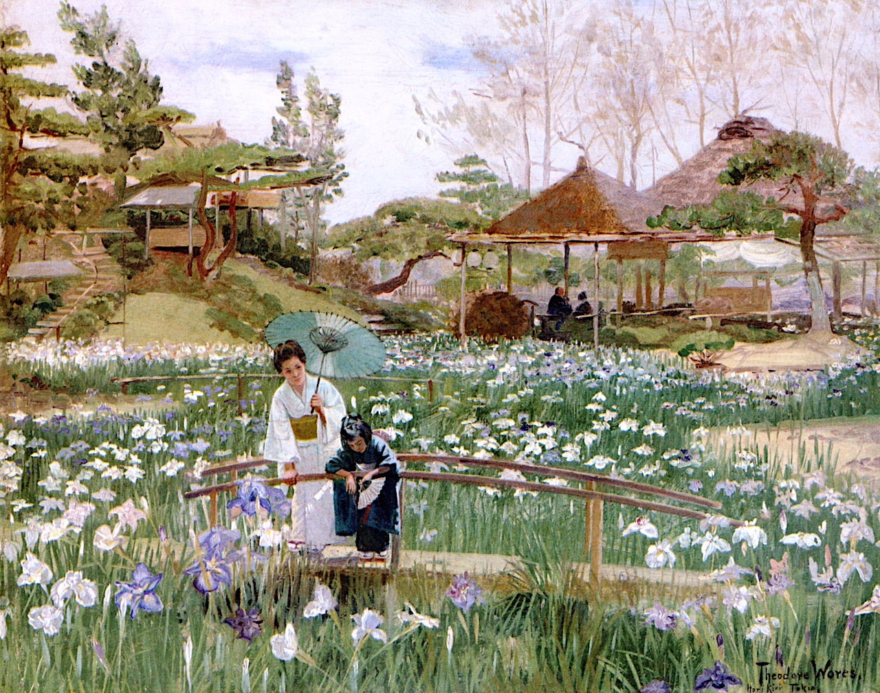 The Iris Flowers of Hori Kiri, Tokio by Theodore Wores,A3(16x12")Poster