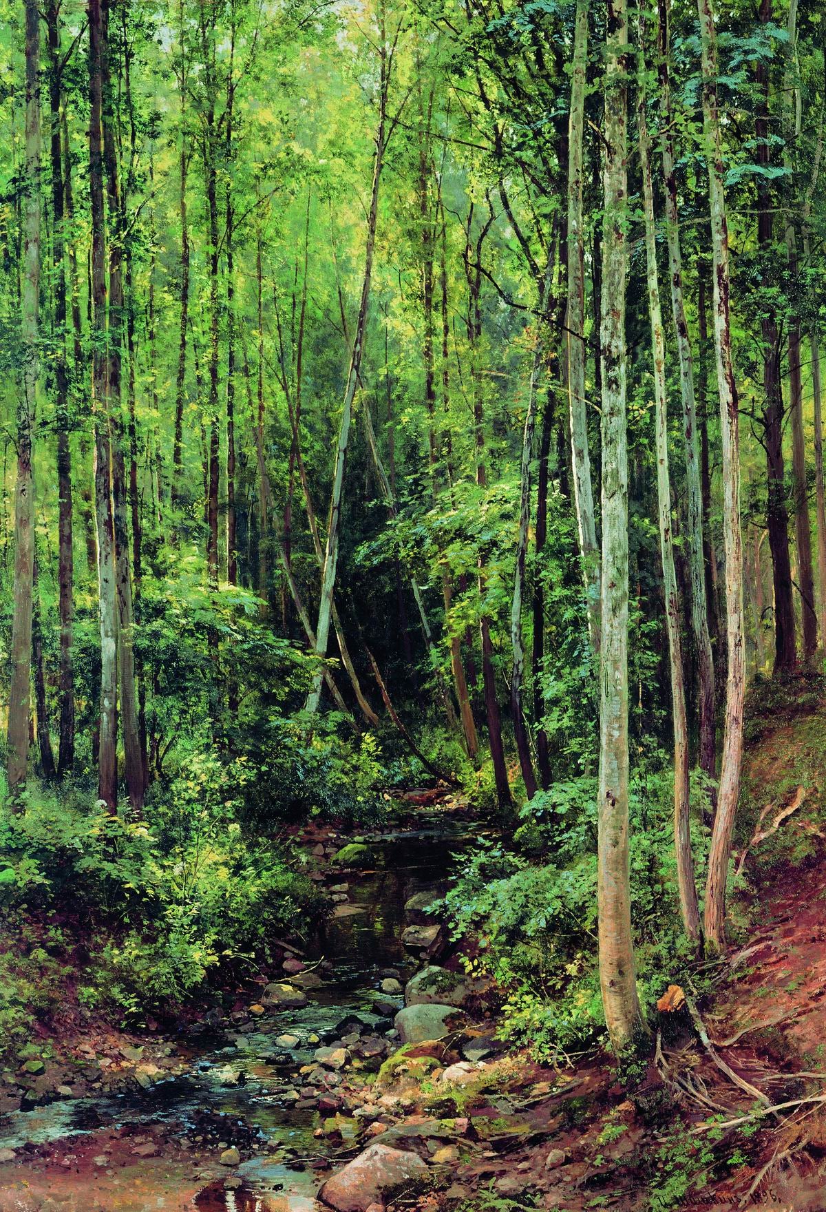 Aspen Grove, vintage artwork by Ivan Ivanovich Shishkin, 12x8" (A4) Poster